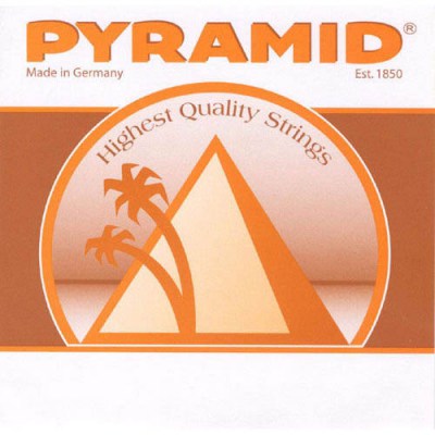 Pyramid 10 String Classical Guitar Set